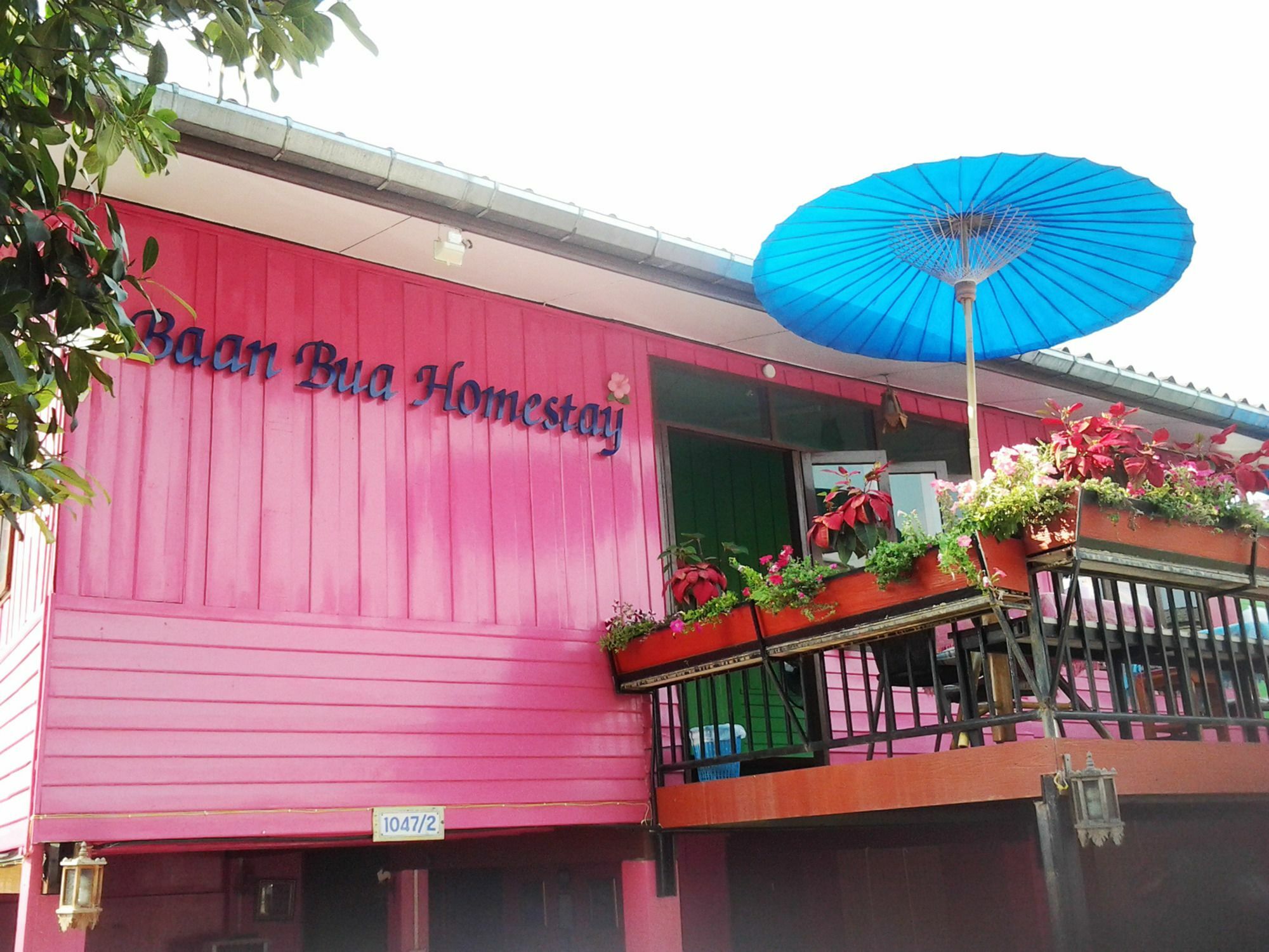 Baan Bua Homestay Chiang Rai Dış mekan fotoğraf